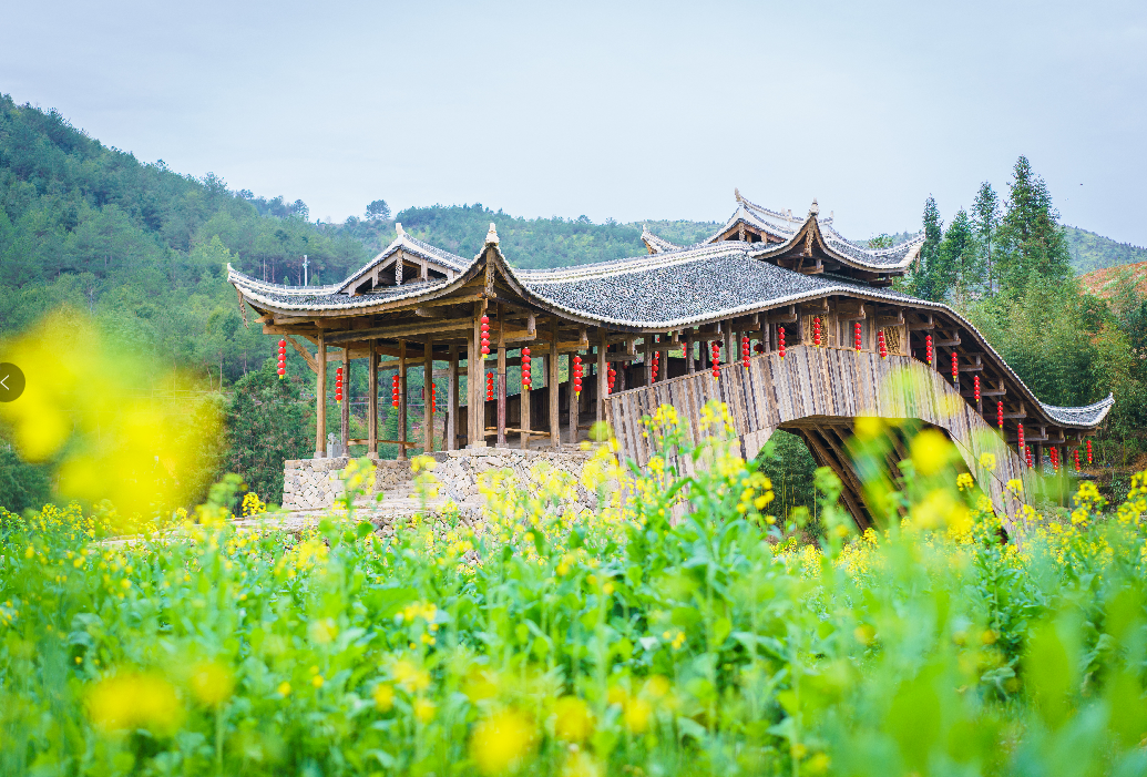 泰顺召开,来自全国的专家学者,非遗传承人以及闽浙两省七县相关非遗